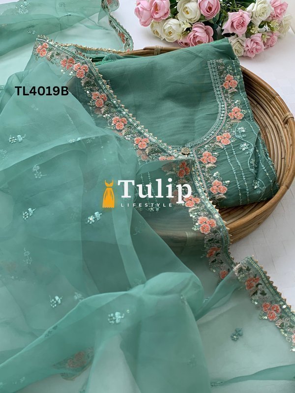 Premium Organza Party Dress - TL4019 Color image