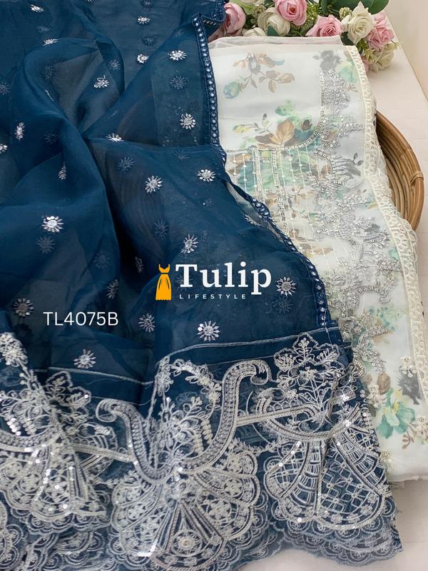 Exclusive Premium Organza Dresses - TL4075 Color image