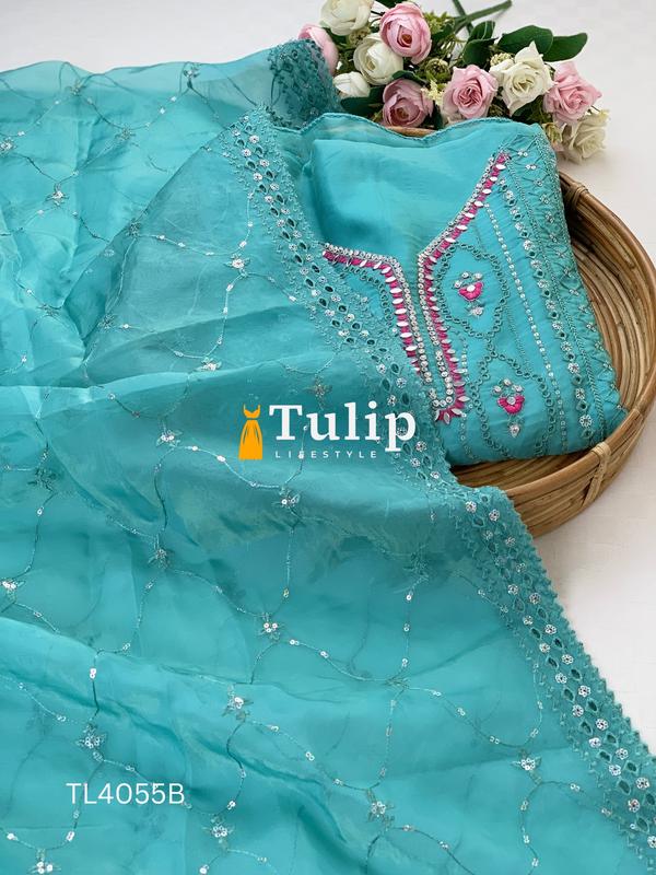 Exclusive Premium Organza Dresses - TL4055 Color image