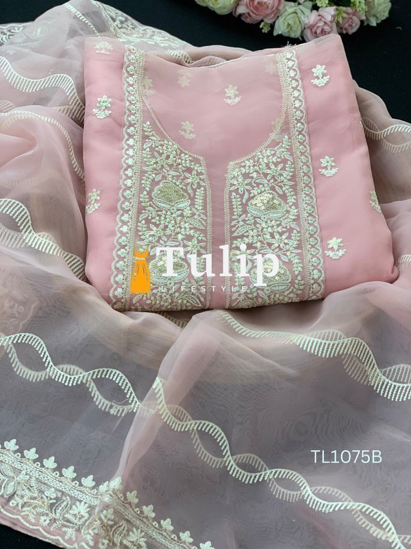 Premium Organza Party Dress - TL1075 Color image