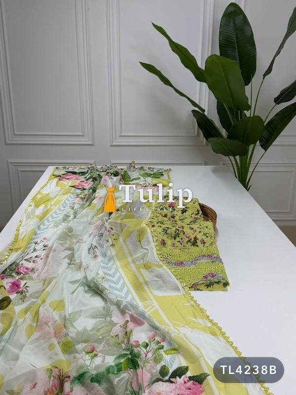 Soft Embroidered Luxury Cotton Lawn Dresses - TL4238 Color image